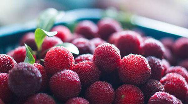 �и��ܳ���÷�� ����÷Ҫע��ʲô����